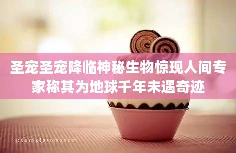 圣宠圣宠降临神秘生物惊现人间专家称其为地球千年未遇奇迹