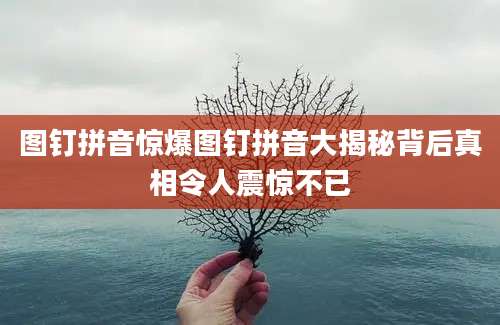 图钉拼音惊爆图钉拼音大揭秘背后真相令人震惊不已