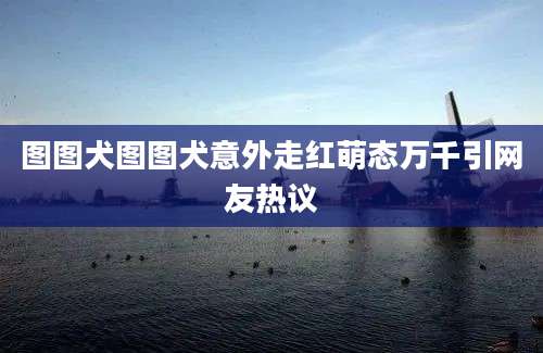 图图犬图图犬意外走红萌态万千引网友热议