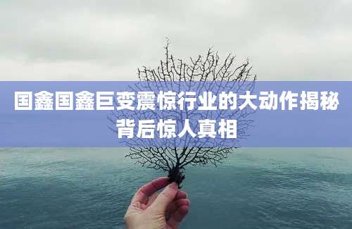 国鑫国鑫巨变震惊行业的大动作揭秘背后惊人真相
