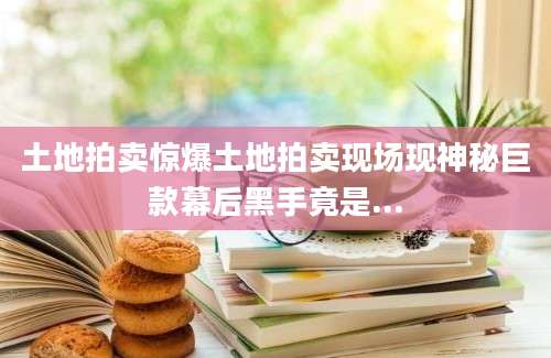 土地拍卖惊爆土地拍卖现场现神秘巨款幕后黑手竟是...