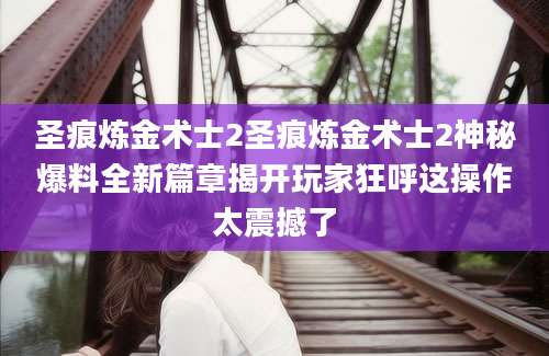 圣痕炼金术士2圣痕炼金术士2神秘爆料全新篇章揭开玩家狂呼这操作太震撼了
