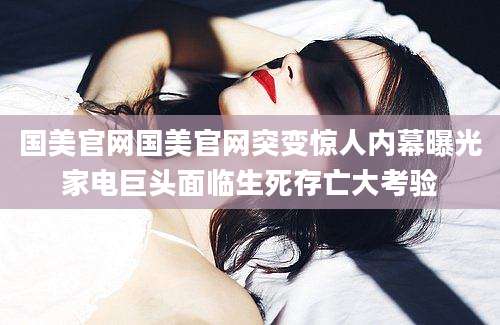 国美官网国美官网突变惊人内幕曝光家电巨头面临生死存亡大考验