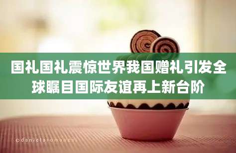 国礼国礼震惊世界我国赠礼引发全球瞩目国际友谊再上新台阶