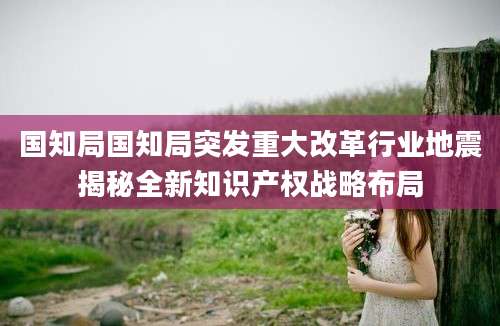 国知局国知局突发重大改革行业地震揭秘全新知识产权战略布局