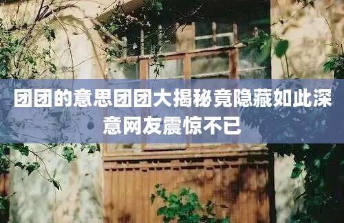 团团的意思团团大揭秘竟隐藏如此深意网友震惊不已