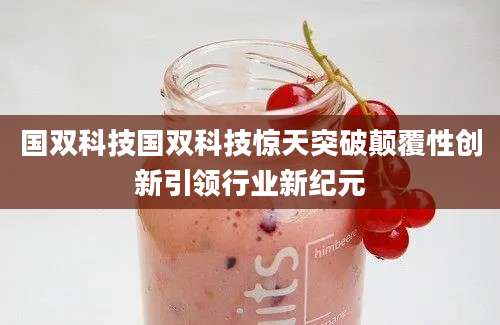 国双科技国双科技惊天突破颠覆性创新引领行业新纪元