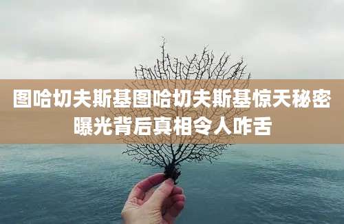 图哈切夫斯基图哈切夫斯基惊天秘密曝光背后真相令人咋舌