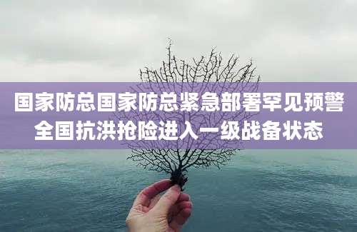 国家防总国家防总紧急部署罕见预警全国抗洪抢险进入一级战备状态