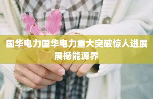 国华电力国华电力重大突破惊人进展震撼能源界