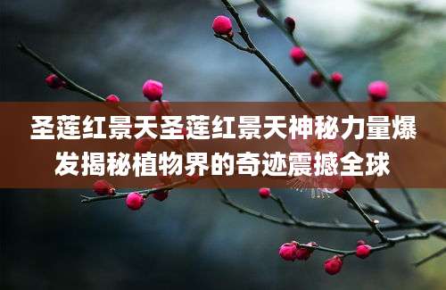 圣莲红景天圣莲红景天神秘力量爆发揭秘植物界的奇迹震撼全球