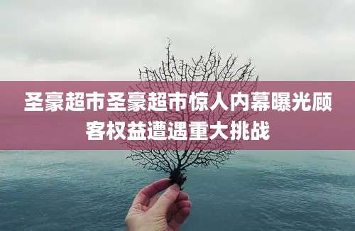 圣豪超市圣豪超市惊人内幕曝光顾客权益遭遇重大挑战