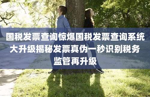 国税发票查询惊爆国税发票查询系统大升级揭秘发票真伪一秒识别税务监管再升级