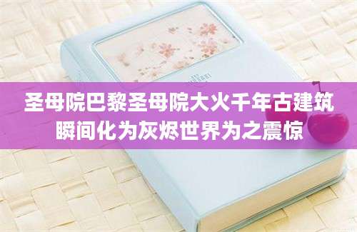圣母院巴黎圣母院大火千年古建筑瞬间化为灰烬世界为之震惊