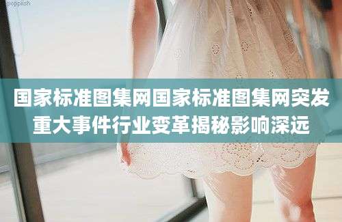 国家标准图集网国家标准图集网突发重大事件行业变革揭秘影响深远