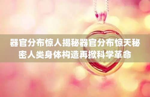 器官分布惊人揭秘器官分布惊天秘密人类身体构造再掀科学革命