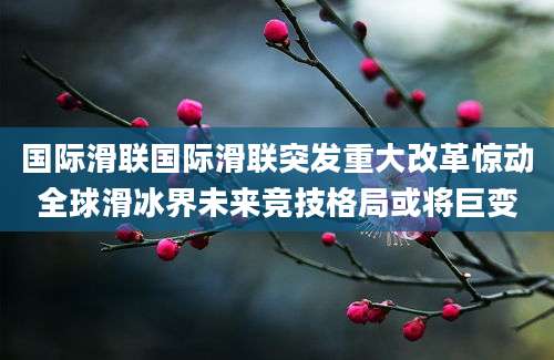 国际滑联国际滑联突发重大改革惊动全球滑冰界未来竞技格局或将巨变