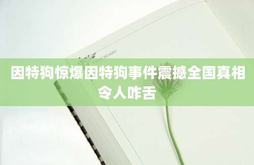 因特狗惊爆因特狗事件震撼全国真相令人咋舌