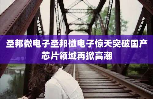圣邦微电子圣邦微电子惊天突破国产芯片领域再掀高潮