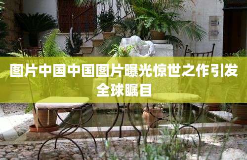 图片中国中国图片曝光惊世之作引发全球瞩目