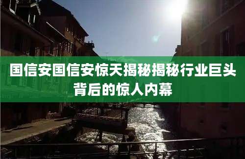 国信安国信安惊天揭秘揭秘行业巨头背后的惊人内幕