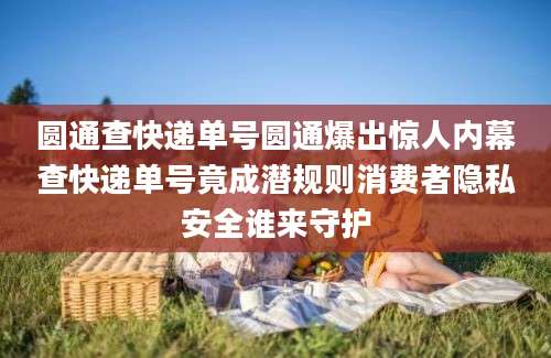 圆通查快递单号圆通爆出惊人内幕查快递单号竟成潜规则消费者隐私安全谁来守护
