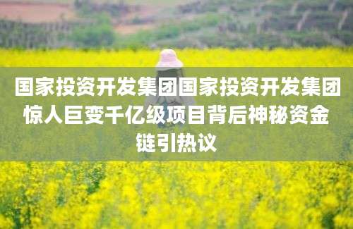 国家投资开发集团国家投资开发集团惊人巨变千亿级项目背后神秘资金链引热议