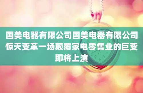 国美电器有限公司国美电器有限公司惊天变革一场颠覆家电零售业的巨变即将上演