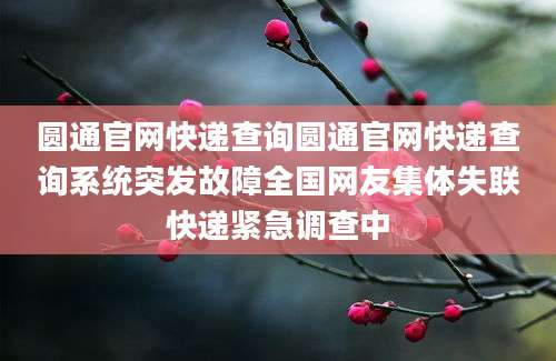 圆通官网快递查询圆通官网快递查询系统突发故障全国网友集体失联快递紧急调查中