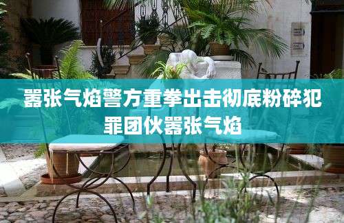 嚣张气焰警方重拳出击彻底粉碎犯罪团伙嚣张气焰