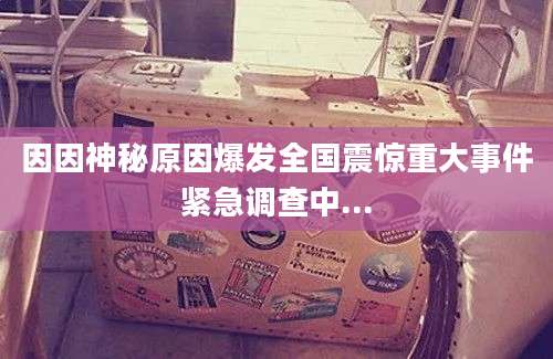 因因神秘原因爆发全国震惊重大事件紧急调查中...