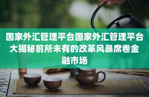国家外汇管理平台国家外汇管理平台大揭秘前所未有的改革风暴席卷金融市场