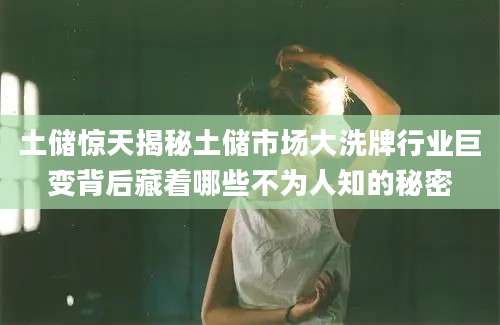 土储惊天揭秘土储市场大洗牌行业巨变背后藏着哪些不为人知的秘密