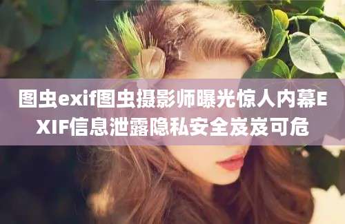 图虫exif图虫摄影师曝光惊人内幕EXIF信息泄露隐私安全岌岌可危