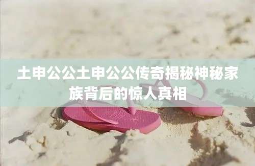 土申公公土申公公传奇揭秘神秘家族背后的惊人真相