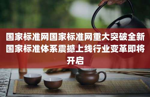 国家标准网国家标准网重大突破全新国家标准体系震撼上线行业变革即将开启